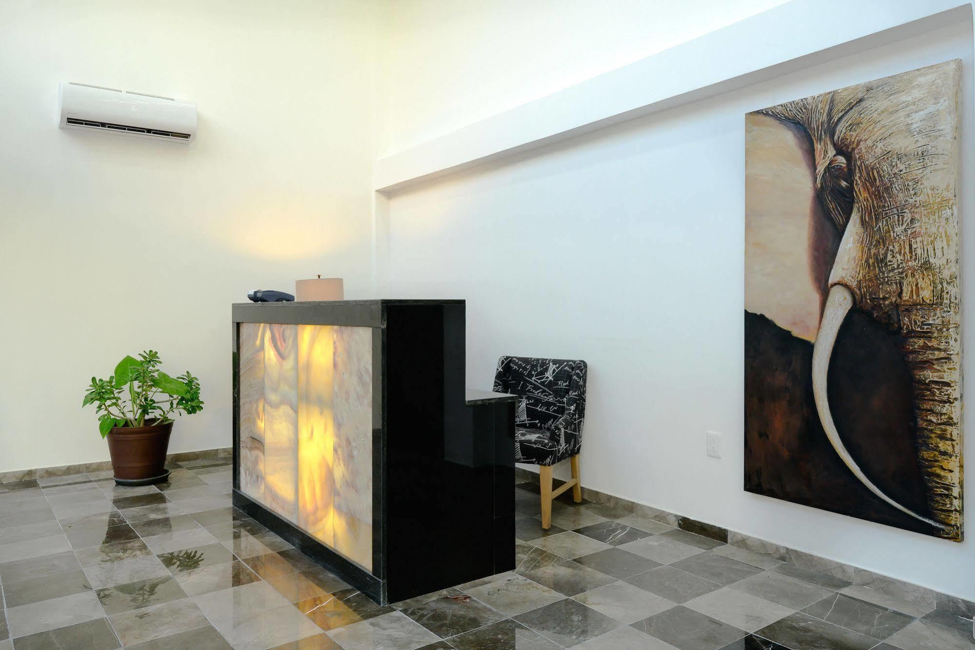 Coral Beach Condo Πλάγια Ντελ Κάρμεν Εξωτερικό φωτογραφία