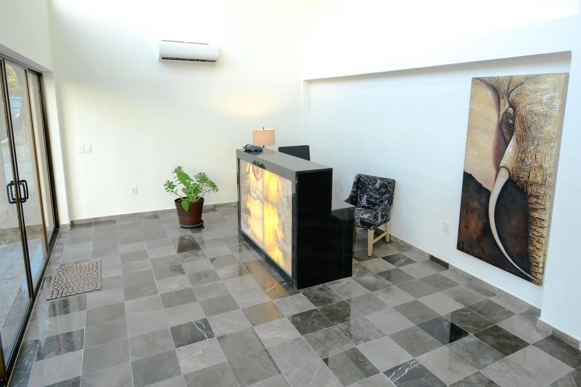 Coral Beach Condo Πλάγια Ντελ Κάρμεν Εξωτερικό φωτογραφία